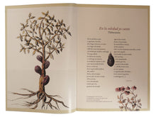 Cargar imagen en el visor de la galería, Chocolate Culinaria Artes de México