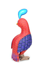 Cargar imagen en el visor de la galería, Codorniz Oreortyx pictus SF