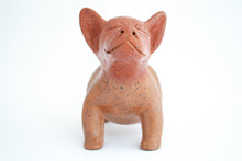 Cargar imagen en el visor de la galería, Perro Tlalchichi cola ancha chico