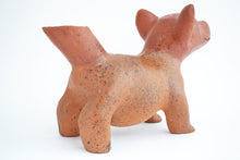 Cargar imagen en el visor de la galería, Perro Tlalchichi cola ancha chico