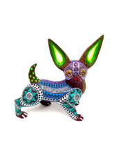 Cargar imagen en el visor de la galería, Chihuahua Verde-Azules NM
