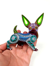 Cargar imagen en el visor de la galería, Chihuahua Verde-Azules NM
