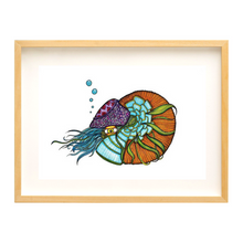 Cargar imagen en el visor de la galería, Nautilus