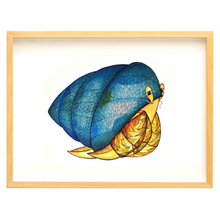 Cargar imagen en el visor de la galería, Sr. Caracol