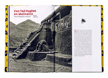 Cargar imagen en el visor de la galería, Jaguar - No. 121