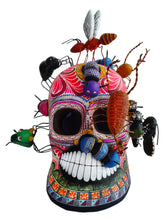 Cargar imagen en el visor de la galería, Cráneo con Insectos (rosa)

