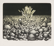 Campo de pierda - Gerardo Vargas