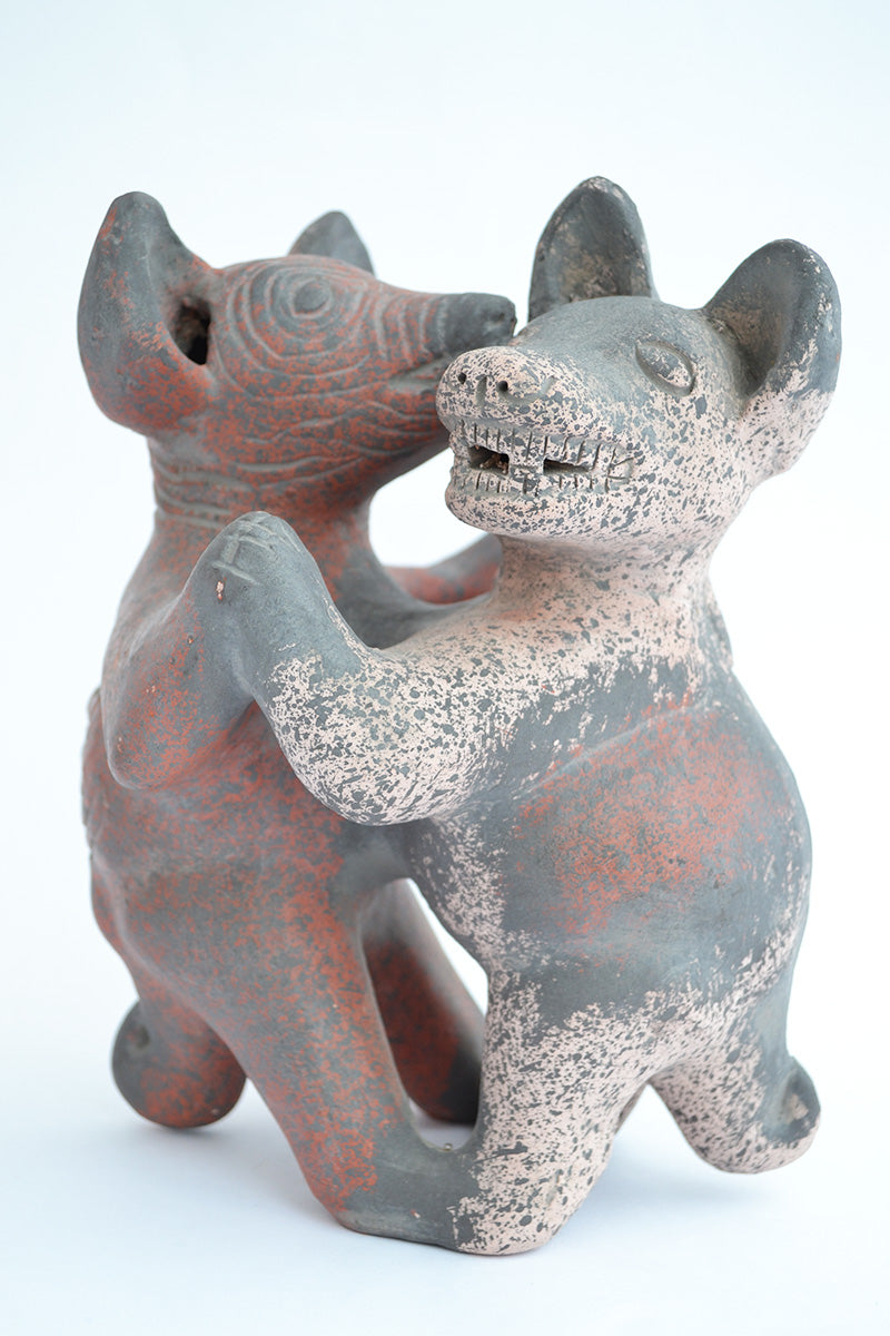 Tlalchichi, Xolo, Perro Prehisánico
