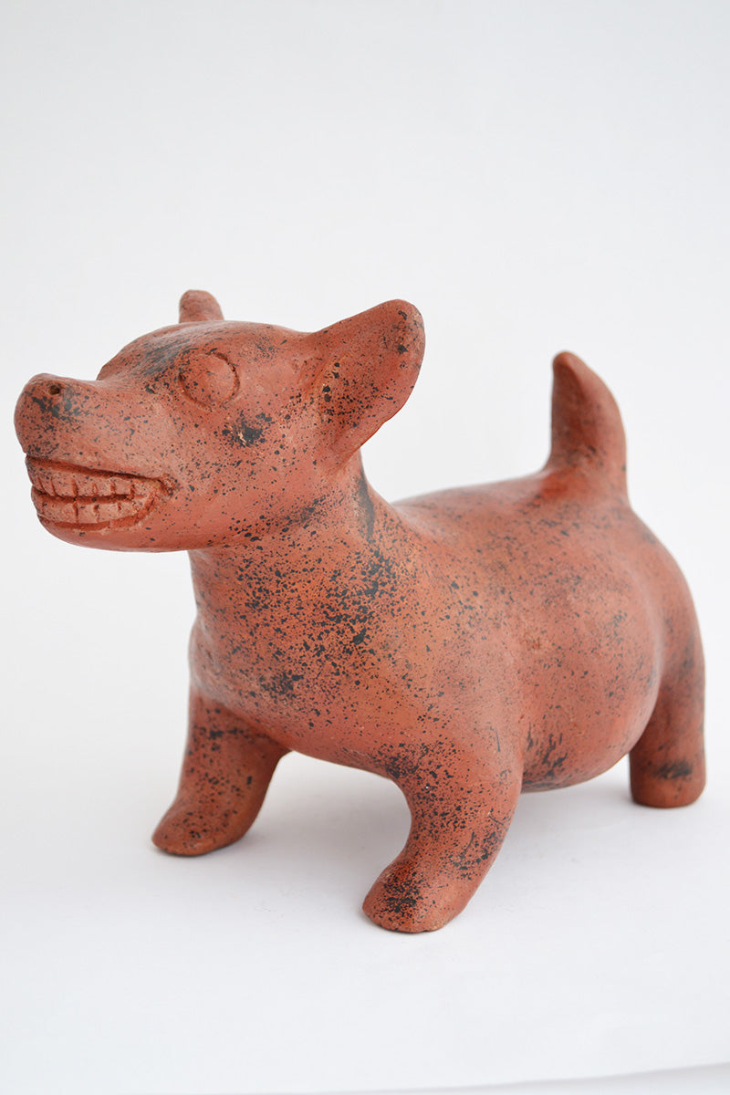 Tlalchichi, Xolo, Perro Prehisánico