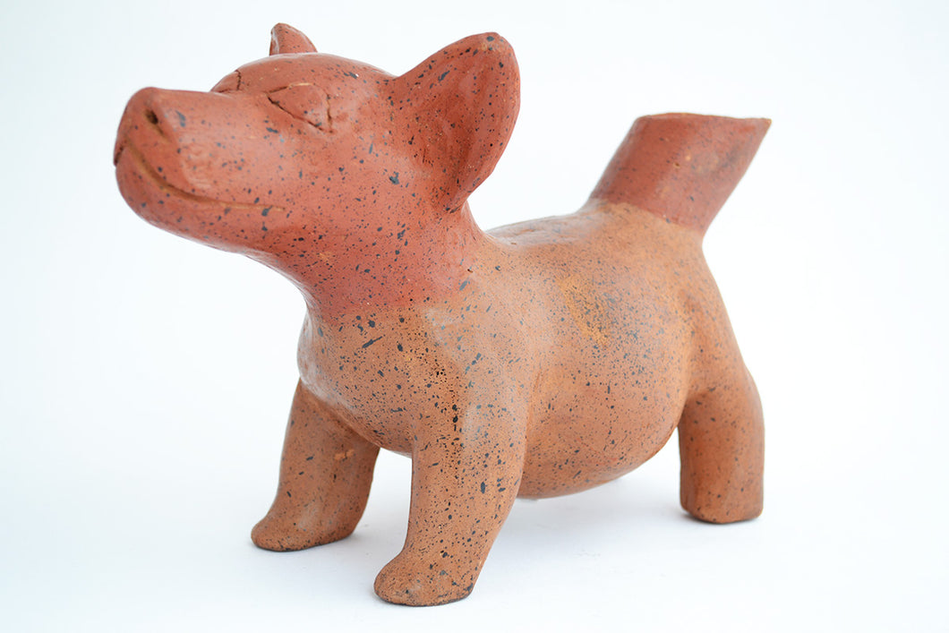 Tlalchichi, Xolo, Perro Prehisánico
