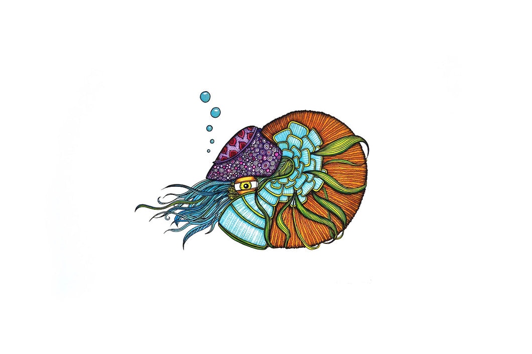 Nautilus