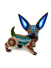 Cargar imagen en el visor de la galería, Chihuahua Verde-Marrón-Azul NM
